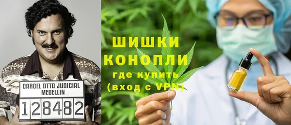 PSILOCYBIN Баксан