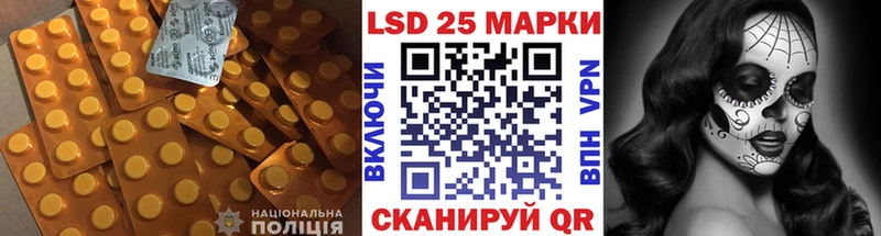 дарнет шоп  KRAKEN ссылки  Лсд 25 экстази ecstasy  Озёры 