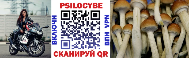 дарнет шоп  Озёры  Псилоцибиновые грибы мицелий 